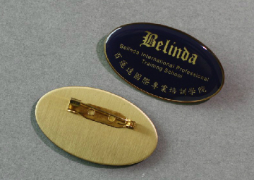 Printed Badge, School Pin (GZHY-YS-046)