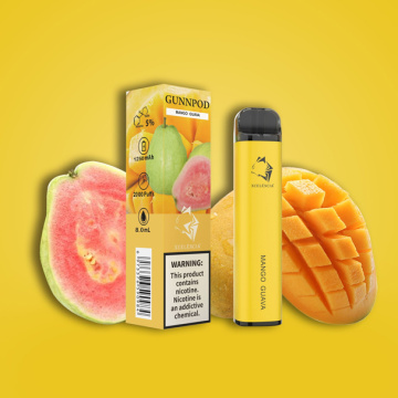 Gunnpod Flavors Disposable Vape mod electronic cigarette