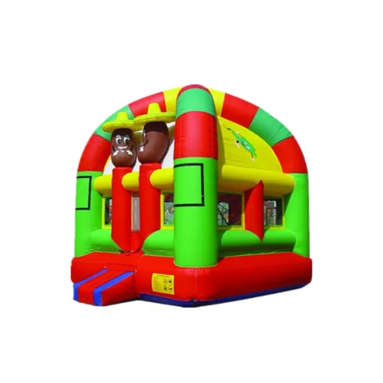 Home Use PVC Tarpaulin Bouncy Castles for Sale