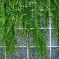 Materiais de esgrima de malha ambientalmente seguros