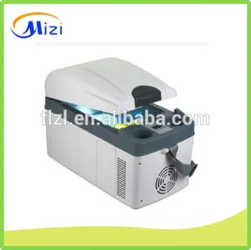 Car cooler box 12v DC or AC