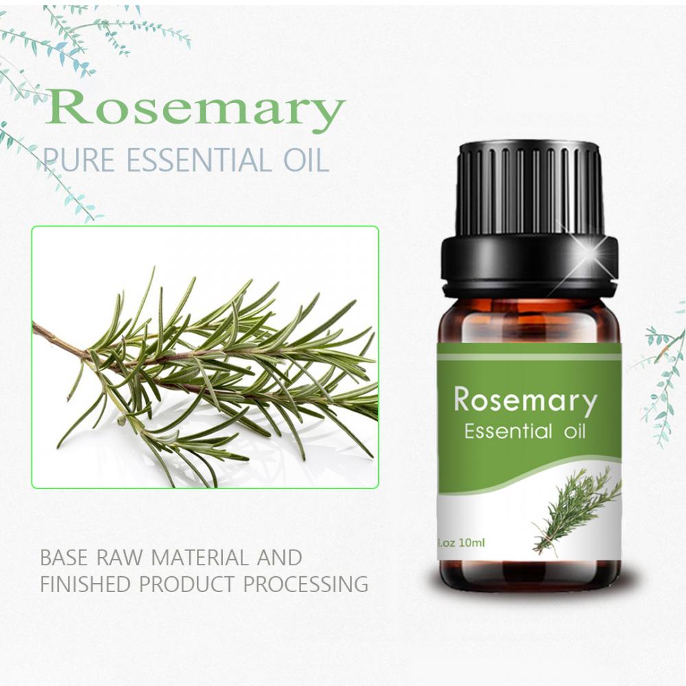10 ml Rosemary esencial Aceite hidratante Aroma de masaje