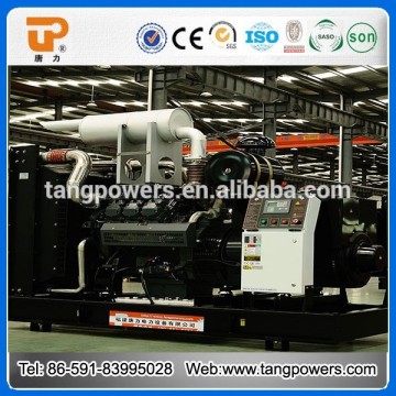 Hopow series low operating cost diesel generator in China