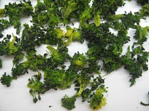 Dehydrated Broccoli with High Quality