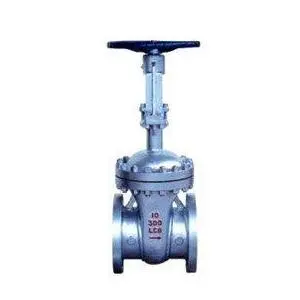 Cryogenic valve 10 Inch class 300