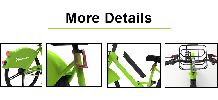 Bike Share Ebikes (12)