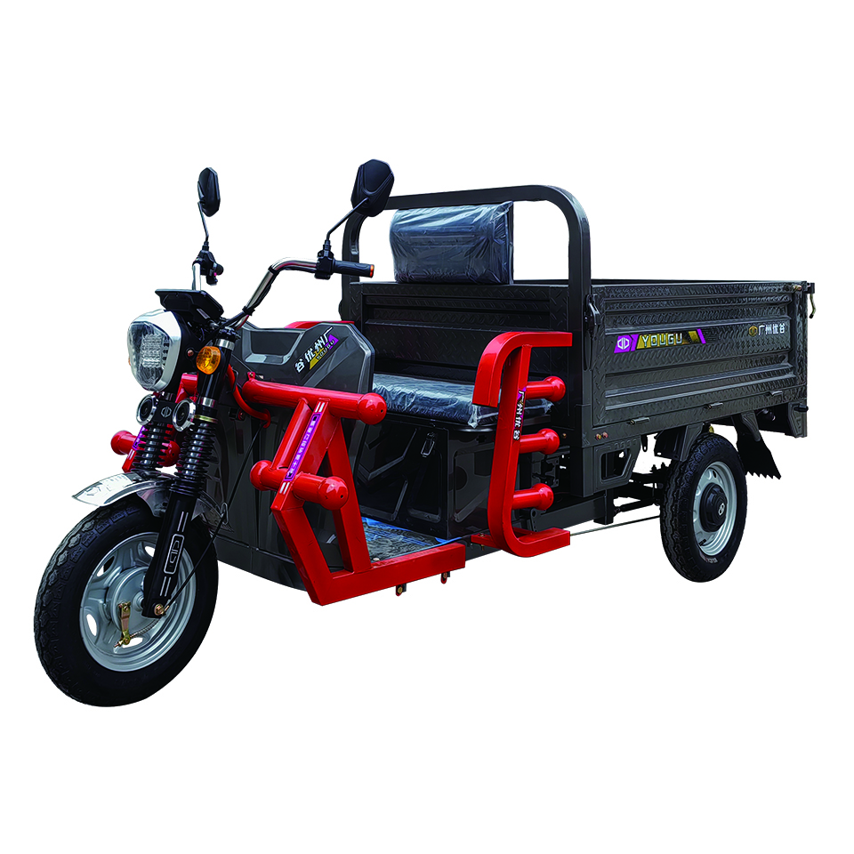 Three wheels rickshaw tricycle
