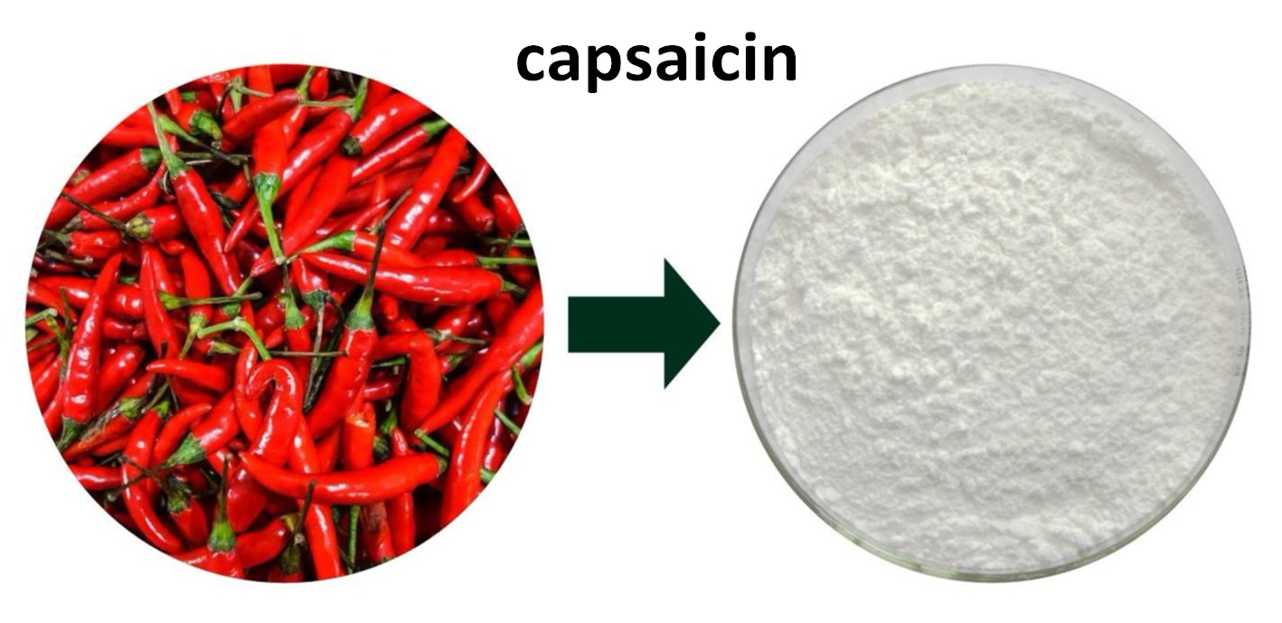 The Secret to Burning Fat in Chili Peppers Capsaicin