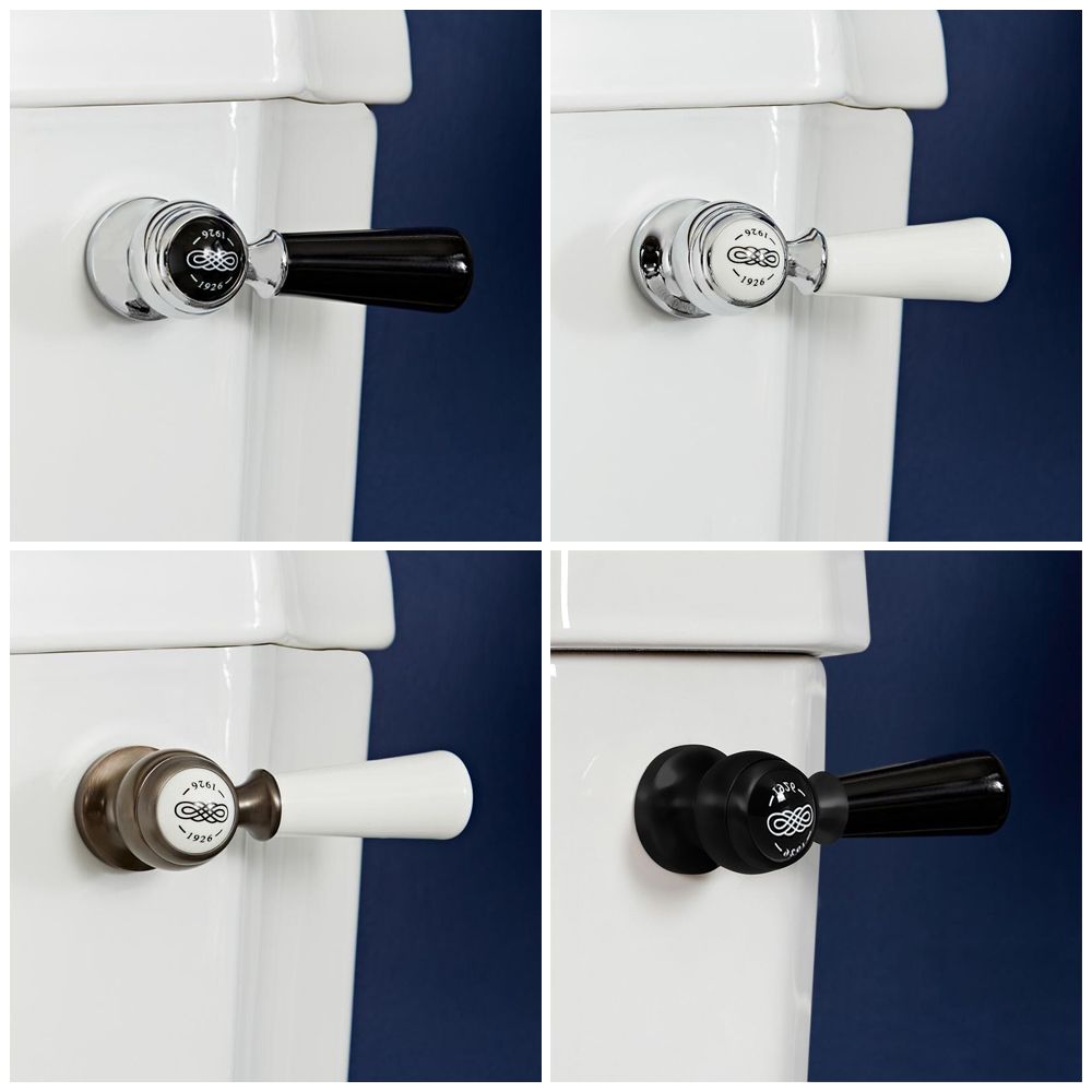SS Chrome Enable Toilet Cistern Bide Wele Randle Ручка розкішна весла Metal Metal WC WC