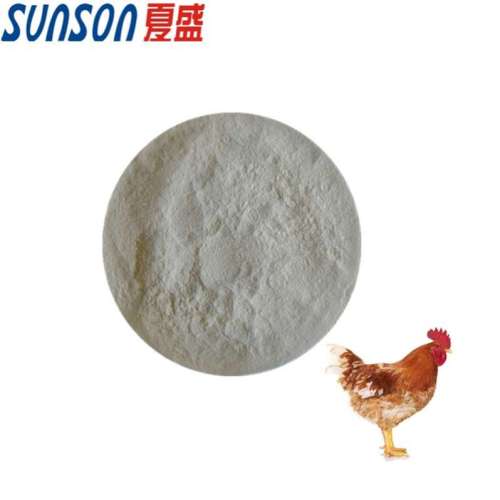 Feed enzymes for broiler poultry additive