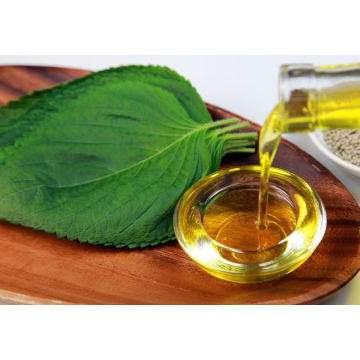 Perilla Seed Oil Good For Body