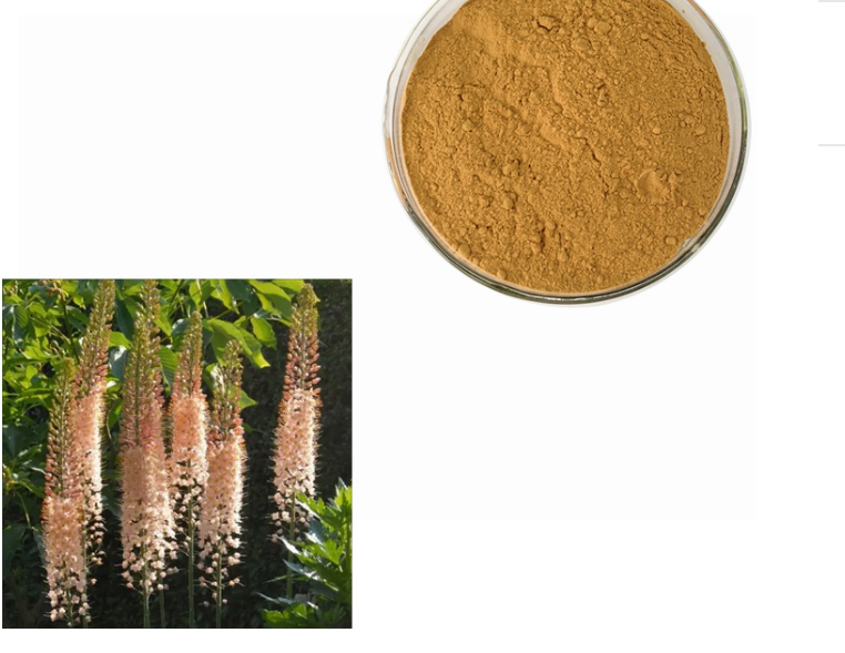 Bulbine Natalensis Extract Png