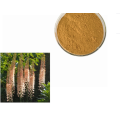 Natural plant extract animal feed Moringa seed Powder