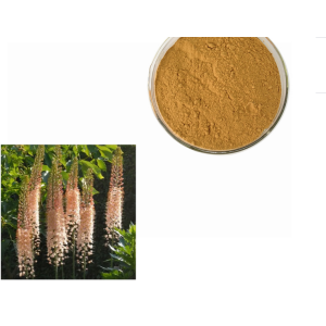 Natural plant extract animal feed Moringa seed Powder