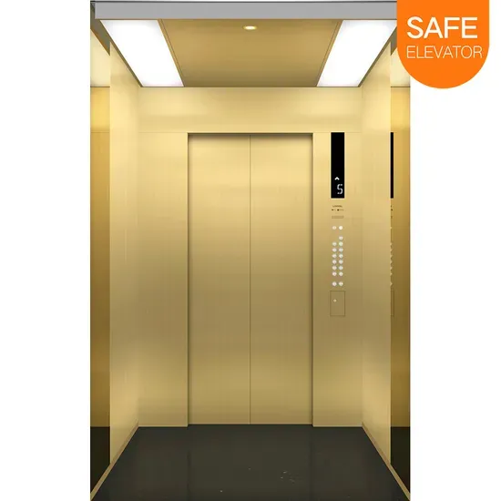 Customized Vvvf Elevator for Residential, Commercial & Building Use