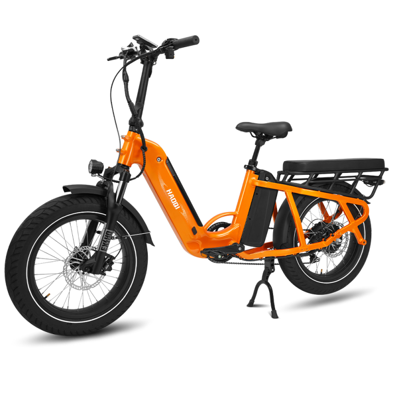 Camel 48V 27.8Ah Cargo Electric Bike