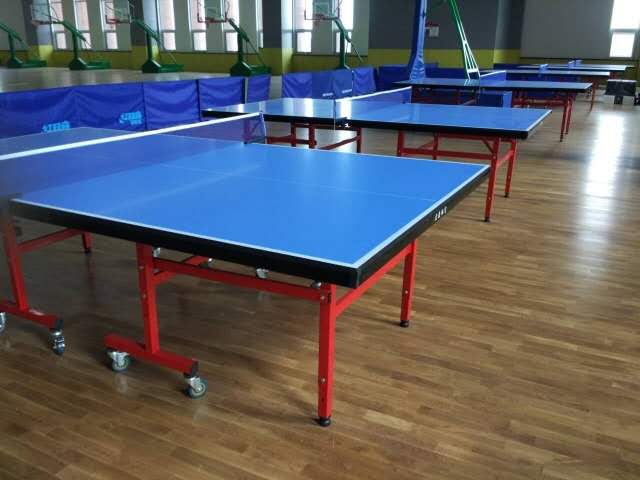 Model Single-folded Table Tennis Table for Sales Pingpang Table3