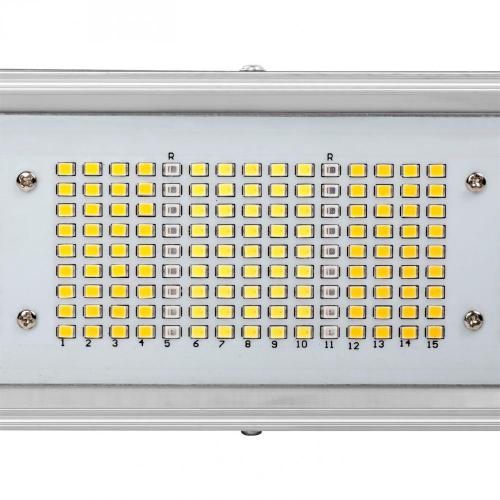 ETL Listed High PPFD Horticulture LED Light