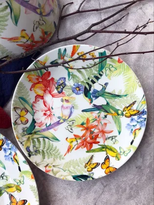 Fruit series ins style steak plate dinner plate