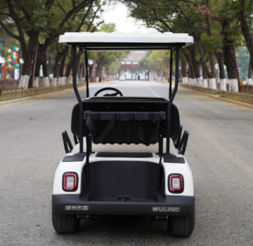 Electric Shuttle Bus for Tourist Car Sightseeing
