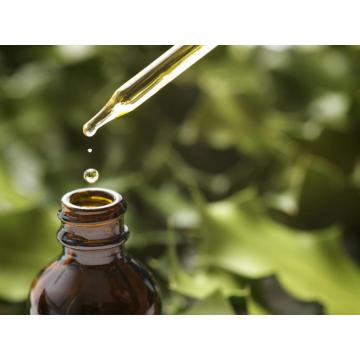 100% Pure Organic high quality Green Tea Oil