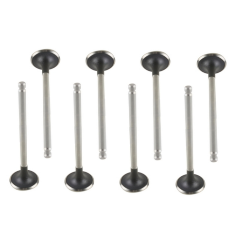 25184804 escape de la válvula