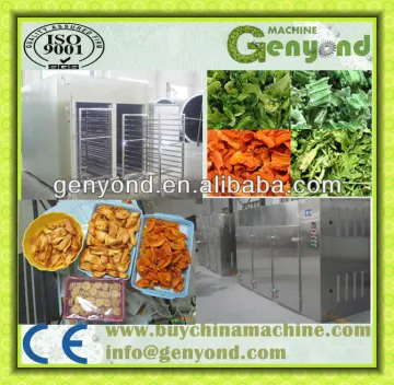 banana chips drying machine