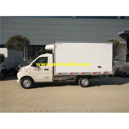 3m Foton Refrigerator Small Van Trucks