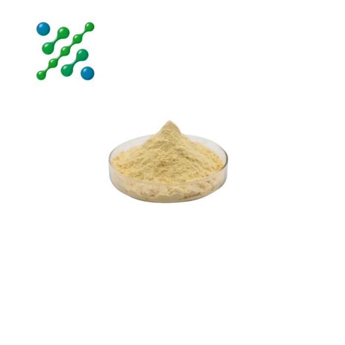 Rutin natural antioxidant supplement