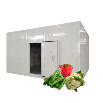 Small Solar-Powered Refrigerated Cold Storage Room - Easy to Operate 20 Feet Container