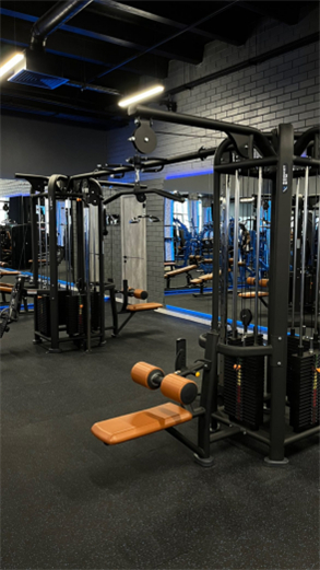 Commercial Gym Equipment (10)