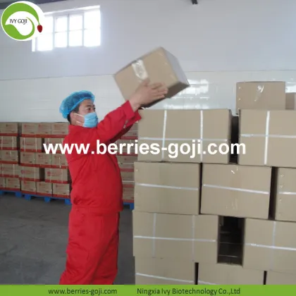 Factory Supply Dried Ningxia Goji