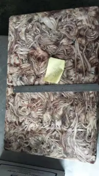 Frozen Squid Tentacle Illex Argentinus 40-60g