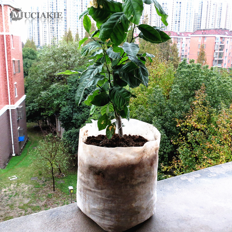100/50PCS Seedling Plants Nursery Bags Organic Biodegradable Grow Bags Fabric Eco-friendly Ventilate Growing Planting Bags
