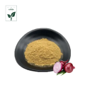 High quality 100% natural onion powder