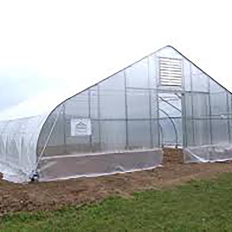 Gothic Single Span Greenhouse for Vegetables Flowers