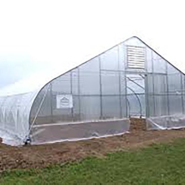 Gothic Single Span Greenhouse for Vegetables Flowers