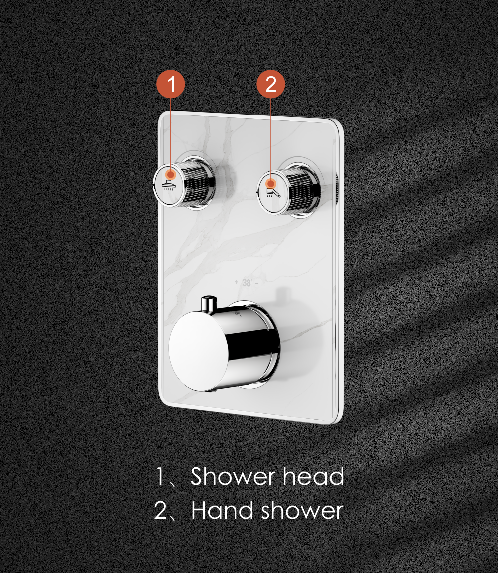 Dual Function Thermostatic Shower Mixer Valve