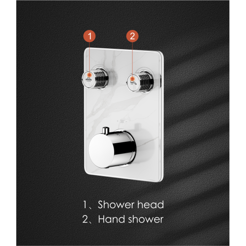 Dual Function Thermostatic Shower Mixer Valve