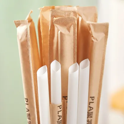  PBS Straw Making Machine with Individual Packaging
