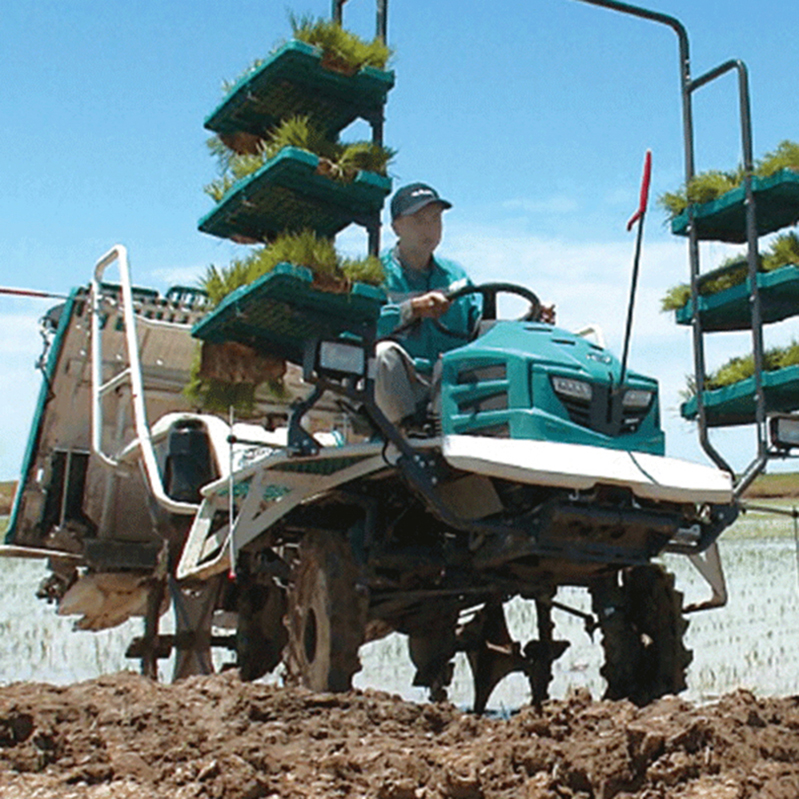 Depth adjustment of rice transplanter