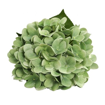 Yayun CH1236 Fiore di ortensia artificiale in lattice a gambo singolo per arredamento per matrimoni