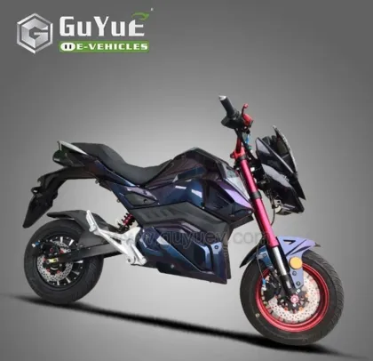 Scooter Adult Electric Motorcycle