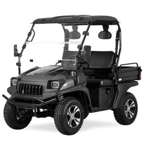 Jeep Style Electric Golf Cart UTV com EEC