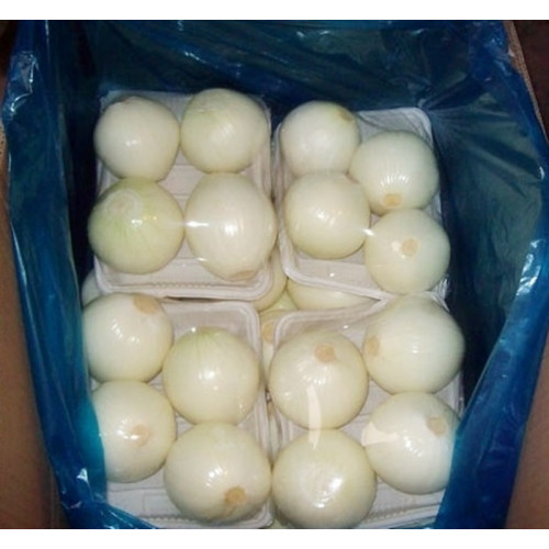 ভাল তাজা peeled পেঁয়াজ