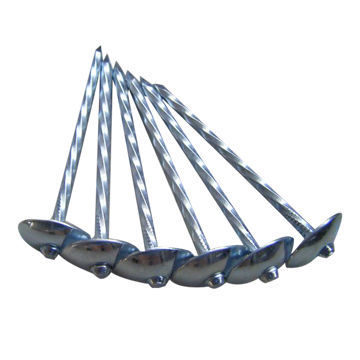 Roofing Nail With Umbrella Head (Factory)