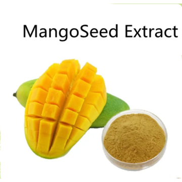 Buy online customizing Mango Seed Extract powder for