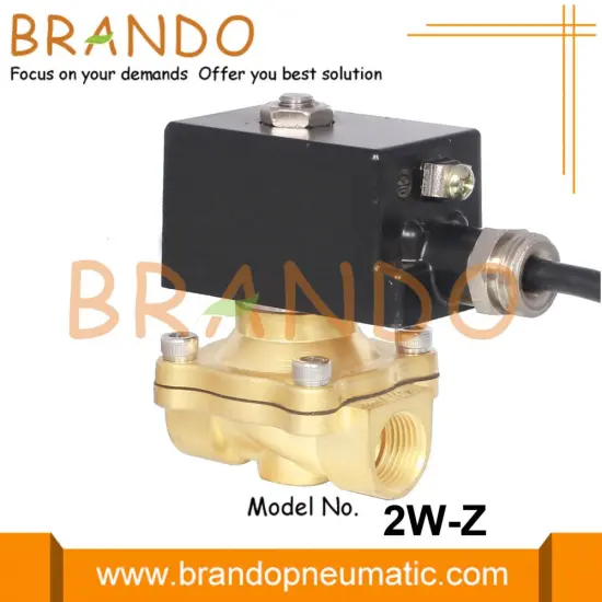 Brass Explosion-Proof Solenoid Valve 12V 24V 110V 220V