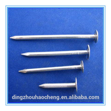Tianjin supply galvanized clout nails from manufacture