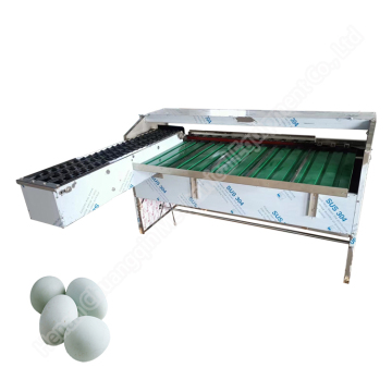 5400pcs/hour Hot Sale Egg Grader Machine - Small Egg Weigh Grading Machine